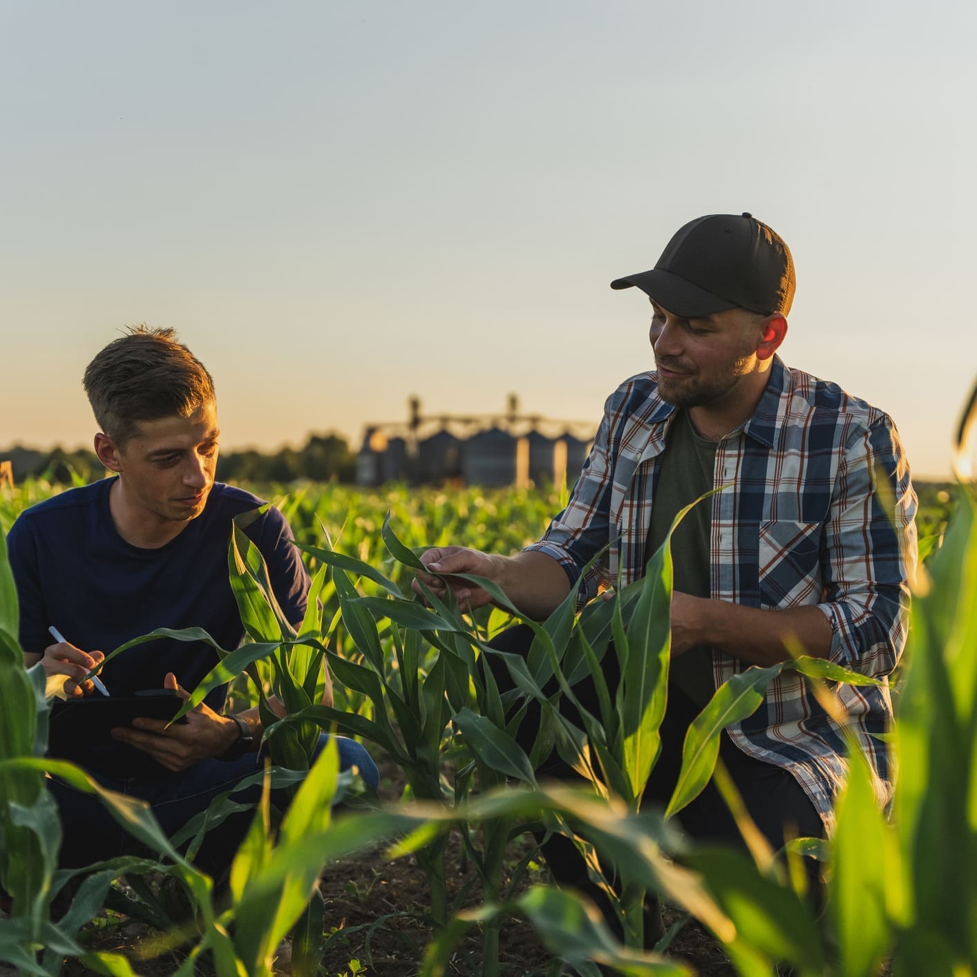 Agriculture 2 Quad Cities Website Design